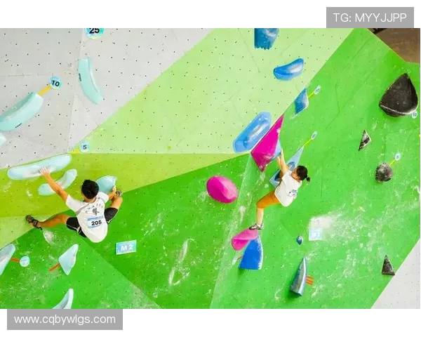 南京攀岩队与杭州攀岩队实力对比赛后分析与总结